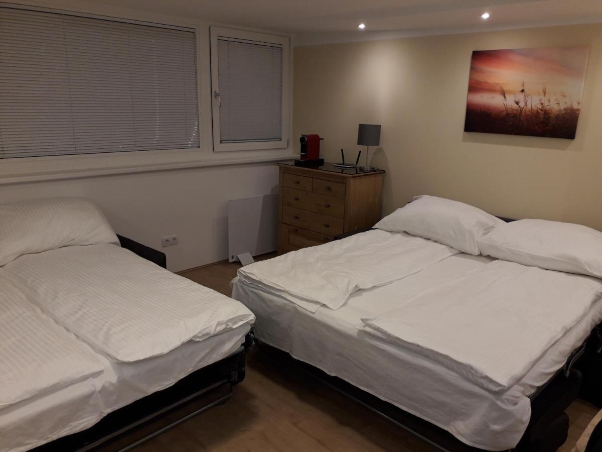 Cosy Flat In The Quiet Area With Own Garden, Free Parking And Direct Public Transport Link To The Centre Apartamento Viena Exterior foto